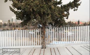 به وقت خدمت؛ مسیر زندگی 21