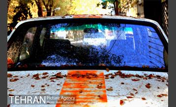 محله نازی آباد 8