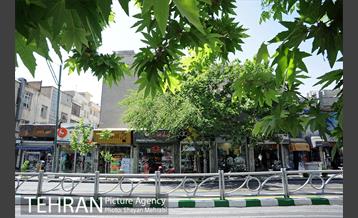 بورس لوازم ورزشی منیریه 23