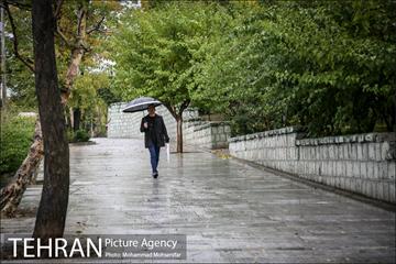 بارش باران پاییزی در تهران 8