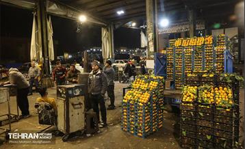 تره‌بار یلدایی 74