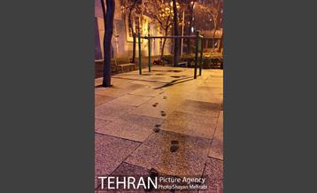 صبح برفی تهران 1