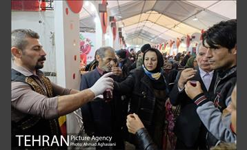 هفتمین جشنواره انار فرهنگسرای اشراق 11