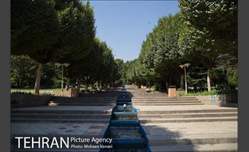 بوستان نیاوران 8