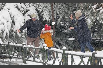 بارش برف در تهران 35