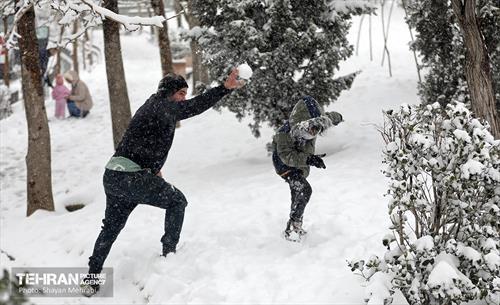 بارش برف در تهران 12