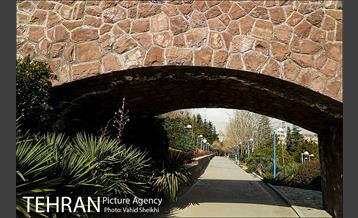 بوستان گفتگو 8