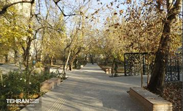 هشتادوششمین رویداد امیدوافتخار 30