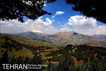فصل بهار در بوستان های منطقه 4 14