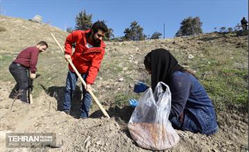 آیین کاشت گیاهان بومی پایتخت در برج میلاد 16