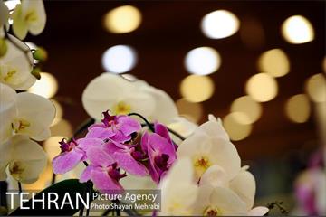نمایشگاه گل و گیاه در بوستان گفتگو 43