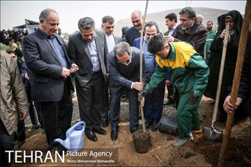 آئین کاشت نهال در بوستان جنگلی سرخه حصار 13