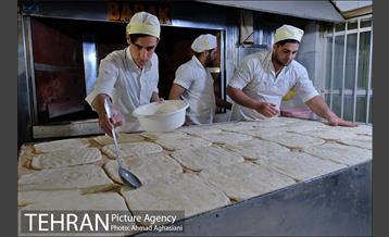 خرید نان سالم 13