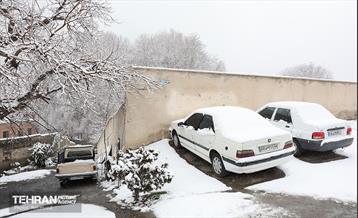 روز برفی در منطقه 5 8