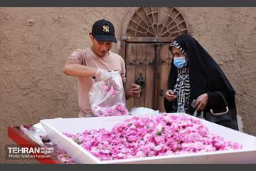 نوزدهمین جشنواره گل و گلاب تهران  3
