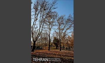 پاییز برفی پارک ملت 17