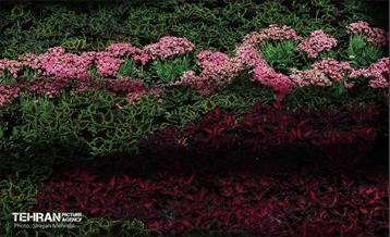 بیستمین نمایشگاه بین‌المللی گل و گیاه 47