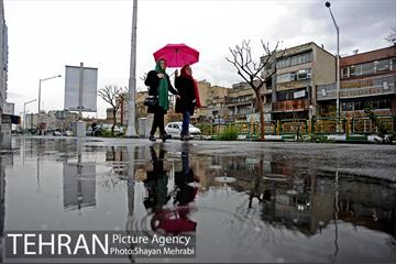 بارش باران بهاری در تهران 15