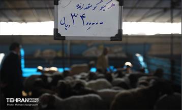 بازدید از مرکز عرضه بهداشتی دام ویژه عید قربان 55