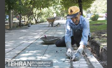 بازسازی سنگ فرش های بلوار کشاورز‎ 10