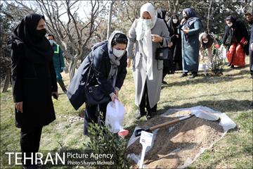 آیین کاشت نهال دوستی با حضور همسران دیپلمات مقیم ایران 25