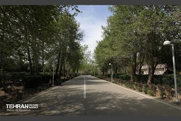 بوستان بانوان نرگس 28