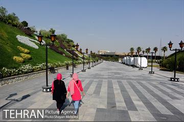 دریاچه و باغ هنر 2