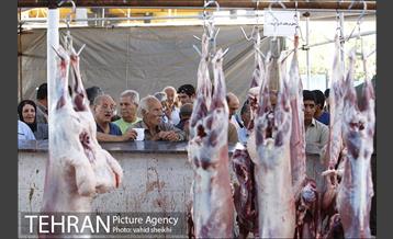 عرضه بهداشتی دام در جایگاه منطقه 2 شهرداری تهران  18