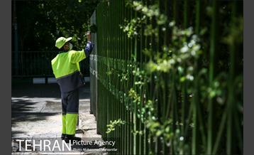 آماده سازی دانشگاه تهران برای نماز جمعه 25