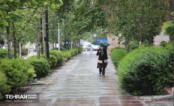 بارش باران بهاری در تهران - 1 21