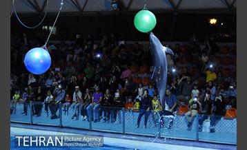 دلفیناریوم برج میلاد 15