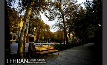 پاییز میدان مشق (سر در باغ ملی) 14