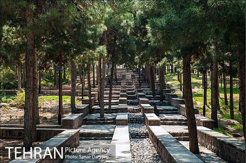 نهمین دوره همی عکاسی تهرانگردی‎ در سال 95