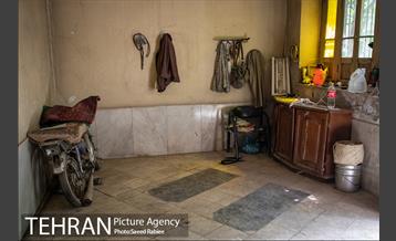 آرامگاه خانوادگی امامزاده عبدالله - شهرری 2