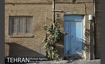 در پس کوچه های تهران قدیم 21