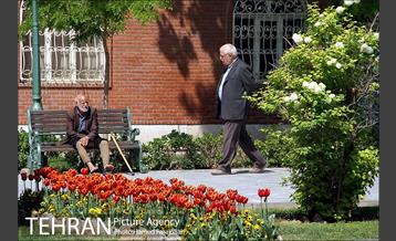 لاله های بهاری پارک شهر 24