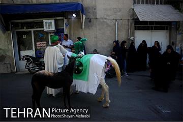 حرکت نمادین کاروان اُسرای کربلا در ده ونک 6