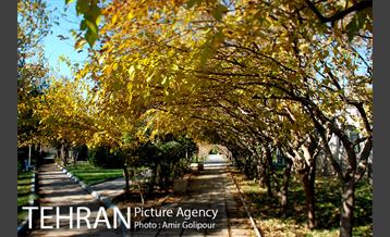 شهرک صدرا 38