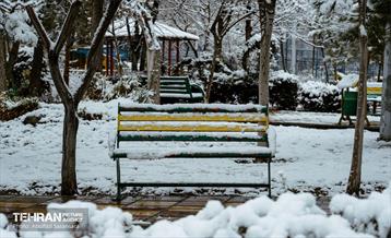 روز برفی در منطقه 8 35