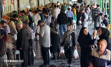 تور بازدید از میادین و بازارهای میوه و تره‌بار شهرداری تهران 9