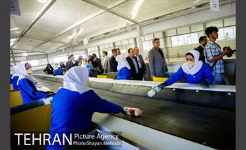 افتتاح پروژه های منطقه ۲ شهرداری تهران 7