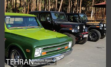 کارناوال ماشین های کلاسیک 15