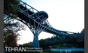 پاییز پل طبیعت 39