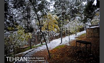 بارش برف پاییزی در بوستان طالقانی 31
