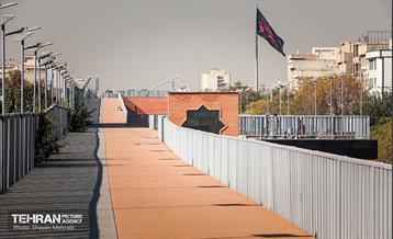 به وقت خدمت؛ باغ‌راه حضرت زهرا(س) محدوده آیت الله سعیدی 6