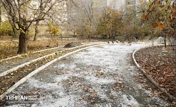 مراحل احداث پروژه ی باغ باهنر 10