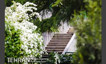 بوستان نیاوران 23