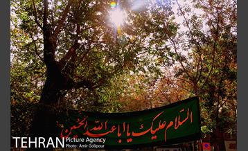 محله نازی آباد 24