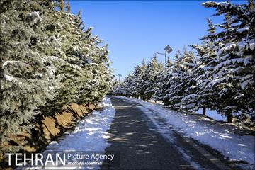 طبیعت برفی تلو 2