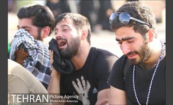 فعالیت های شهرداری تهران در شهرهای نجف و کربلا 16